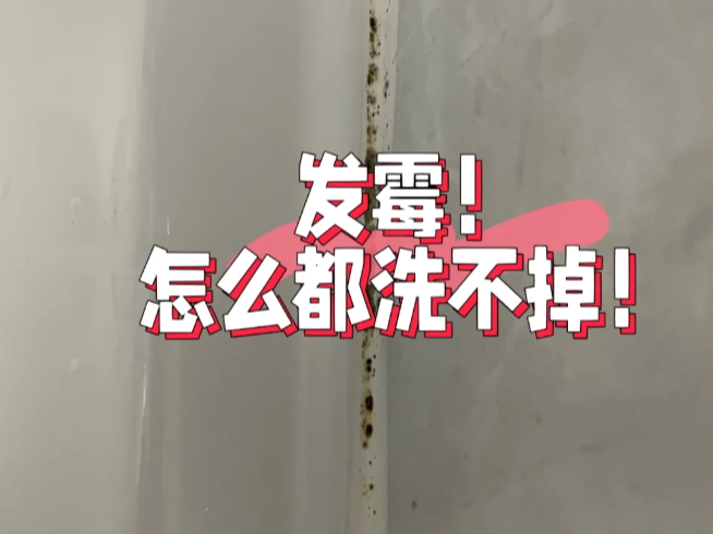 不怕潮、不發(fā)霉，這款美容膠太適合濕區(qū)了！